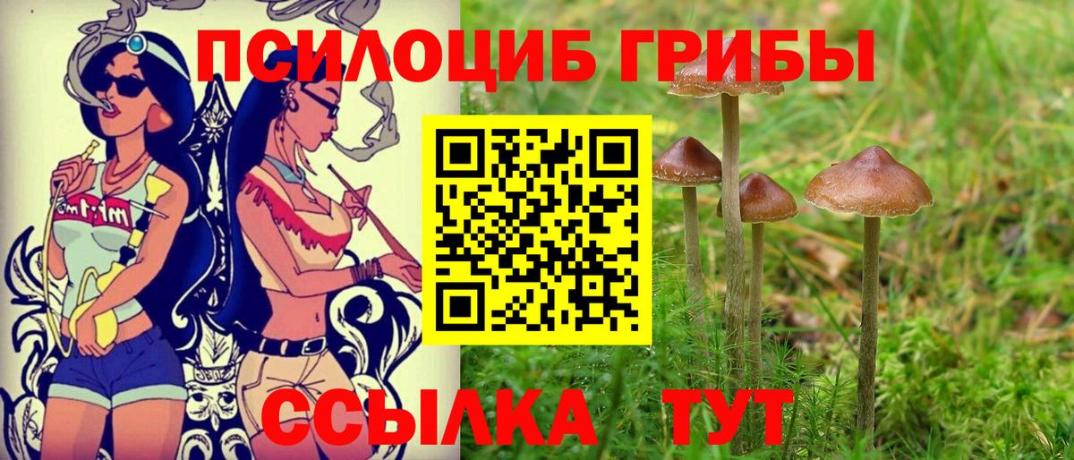 Сухой Лог  Галлюциногенные грибы ЛСД  Вход с VPN 