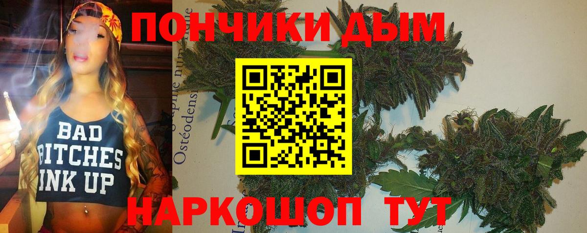Бошки марихуана Bruce Banner  МАРИХУАНА гибрид  Сухой Лог  Каннабис план  Вход с VPN 